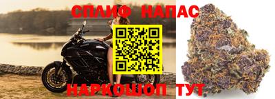 Альфа ПВП Аргун