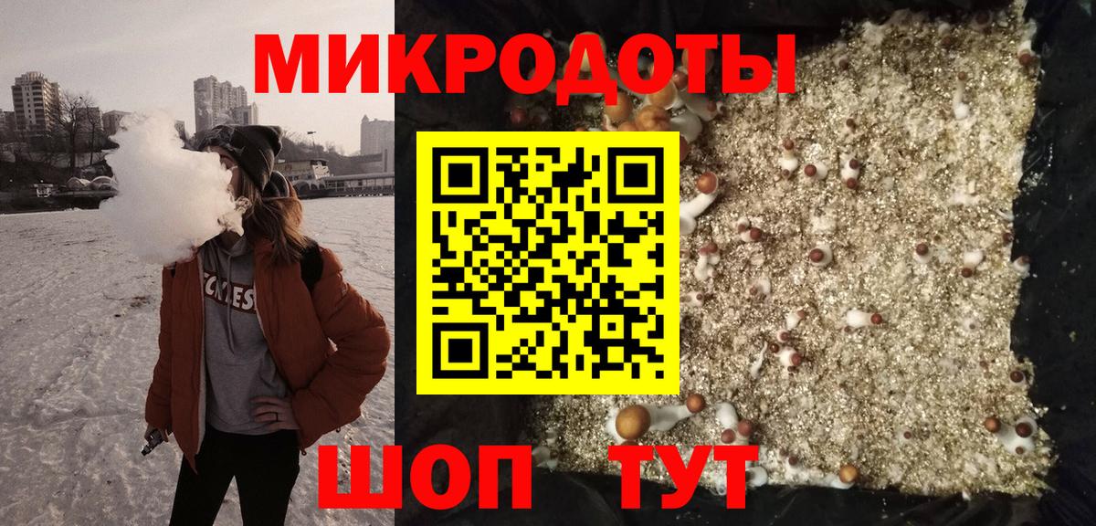 Псилоцибиновые грибы Cubensis Белая Калитва