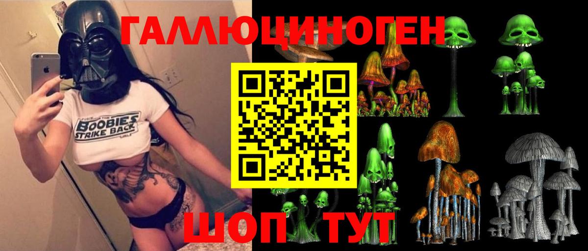 Псилоцибиновые грибы Psilocybe  Вход с VPN  Белая Калитва  Псилоцибиновые грибы Psilocybine cubensis 